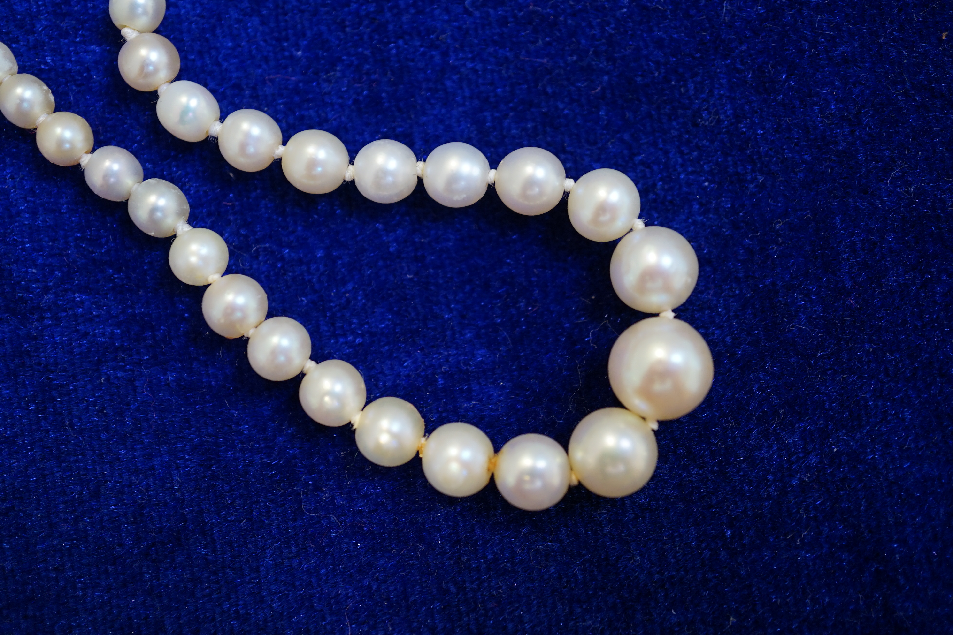 An early 20th century single strand graduated natural pearl and seed pearl necklace, with three stone diamond set clasp and Anchor Cert report dated 27/6/2014 stating an extensive sample to be natural pearls